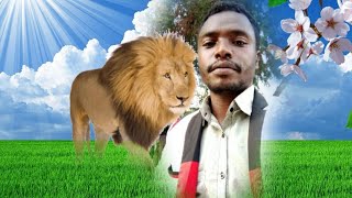 Woyesa Denebo Hin shakkin Oromo Ethiopia new music Official Music Video 2023 [upl. by Auhsej]