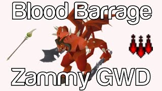 Blood Barraging Zammy GWD  710 Kill Solo Trips [upl. by Quick658]