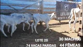 LOTE 20 [upl. by Hadsall]