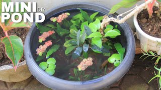 Easy DIY Mini Pond  Patio Pond  No Filter [upl. by Labors]