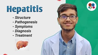 Hepatitis A B C D E Virus  Diagnosis  Virology  Microbiology bangla lecture [upl. by Clift]