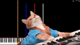 Piano Dark MIDI  Keyboard Cat [upl. by Euphemiah]