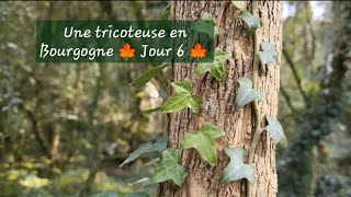 Une tricoteuse en Bourgogne 🍁 jour 6🍁 [upl. by Chlo]