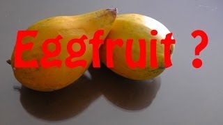 CHECK THIS STRANGE FRUIT EGGFRUIT CANISTEL FRUIT [upl. by Irtimed124]