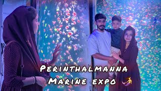 മൽസ്യ കന്യകമാർ നമ്മുടെ അടുത്ത് 🧜‍♀️ MARINE EXPO PERINTHALMANNA marineexpo perinthalmanna vlog [upl. by Anavoj]