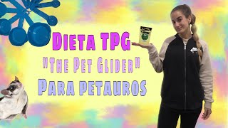 Dieta TPG The Pet Glider para petauros del azúcarsugar glider [upl. by Kliber]