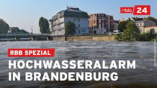 Brandenburg erwartet Hochwasser und steigende Pegel  rbb24 Spezial [upl. by Nai]