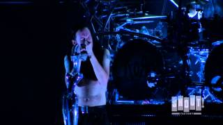 Korn Live At The Hollywood Palladium  quotPredictablequot [upl. by Estas]