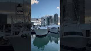 2023 Miami Boat Show Preview DBMIBS [upl. by Adla]