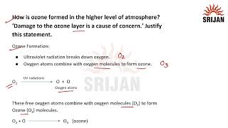 Creative Biology Class 10 Chapter5 [upl. by Cthrine]