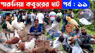 লোটন কবুতরের সেরা বাজি আজকের হাটে  kobutor hat 2024  pigeon market in bangladesh  loton kobutor [upl. by Dnaltiac]