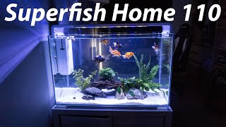 Goldfish  Life in a superfish Home 110 2 [upl. by Anyar]