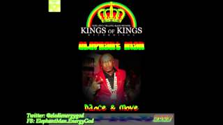 Elephant Man  Dance amp Move Kings Of Kings 2015 [upl. by Anaiuq]