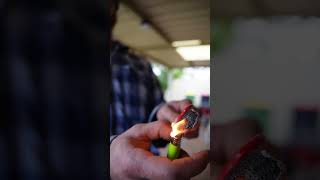 citrus peel fire lighter firelighters garden diy citrus fire lighter gardenhacks backyard [upl. by Sehguh]