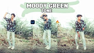 Lightroom Cinematic Green Tone 🔥 Moody green Tone Lightroom mobile [upl. by Anastasia]