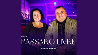 Pássaro Livre Playback [upl. by Chicoine]