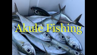 Akule Fishing  Hawaii Fishing 2020  Fishing Vlog [upl. by Loresz]