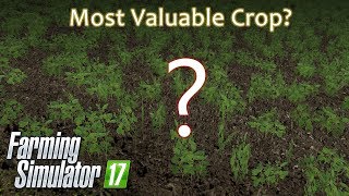 Farming Simulator 17  Most Valuable Crop Award [upl. by Yerggoeg]