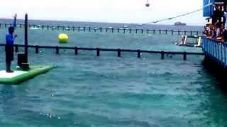 Oceanario Islas del rosario  Cartagena Colombia [upl. by Eiznyl]