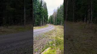 Zweden Sweden TET Trans European Trail BMW R125GSA [upl. by Odlavu]