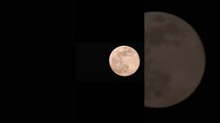 Kartik Purnima LIVE Moon  Beaver Moon [upl. by Crofoot71]