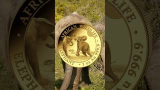 🐘 Somalia Elephant 1oz Gold Coin 2024 from CelticGold [upl. by Esadnac363]