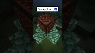 Minecraft Sensor Lights🛜 shorts [upl. by Nospmoht326]