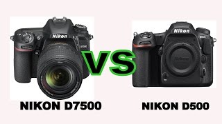 Nikon D7500 vs Nikon D500 [upl. by Lirrad]