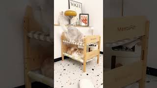 Bunk Cat Bed Perfect for Cat Families  Space Saving Cat Furniture roomdecor cat [upl. by Ardisj]