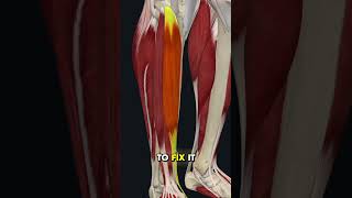 Struggling with poor ankle mobility Watch this video to learn how to fix it anklemobility [upl. by Lletnahs]