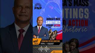 Mek Wi Talk Peter Bunting Shadow minister of National Security [upl. by Seymour316]