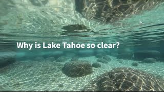 Why is Lake Tahoe so clear [upl. by Jorrie]