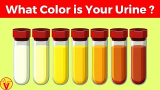 What Your Urine Color Says About Your Health  Urinary System Breakdown  VisitJoy [upl. by Bee]