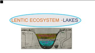 3 LENTIC ECOSYSTEM  LAKE  SEM 5  PAPER 1  AQUATIC BIOLOGY [upl. by Errised]