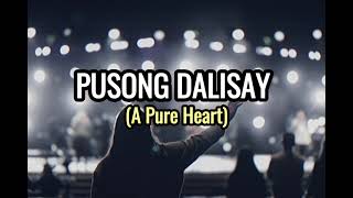 PUSONG DALISAY A PURE HEART  LYRICS [upl. by Ahseena685]