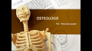 📍 Ostéologie  ANATOMIE [upl. by Burk]