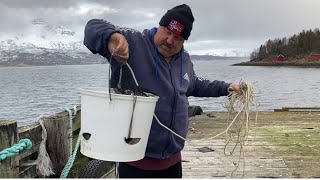 Collecting Whelks and visiting a favourite old mark [upl. by Uolyram]