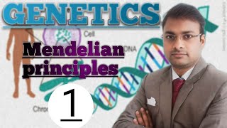 Genetics Mendelian Principles of Heredity [upl. by Daisie]