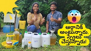 Integrated Pest Management in Organic Farming Esub సేంద్రియ వ్యవసాయంలో సమగ్ర చీడ పీడ వ్యాధి నివారణ [upl. by Conal]