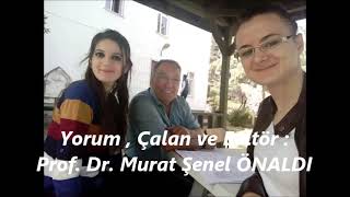 ŞENEL ÖNALDI  AĞLARIM  Söz ve Müzik ŞENEL ÖNALDI [upl. by Sander371]