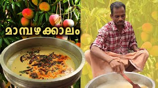 മാമ്പഴ പുളിശ്ശേരി  Mambazha Pulissery Kerala Style  Ripe Mango Curry [upl. by Primrose]