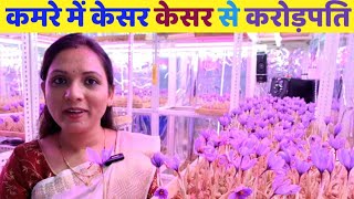 घर में केसर उगा कर किसान बना करोड़पति How to grow saffron at Home  Saffron farming केसर की खेती [upl. by Anastasius404]