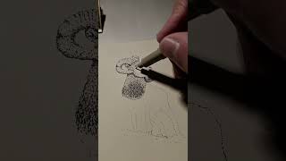 Stippling fineliner drawing a bighorn sheep sketching stipplingart pointillism [upl. by Jamie]