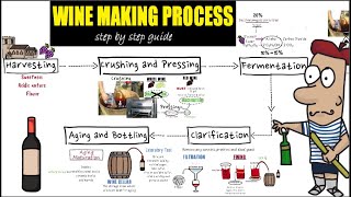 Wine making process step by step Detail guide of wine makingpreparation and making of wine [upl. by Rinna]