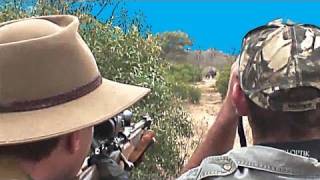 Fieldsports Britain  From rabbits to Cape buffalo episode 67 [upl. by Eihcir]