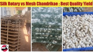 Silkworm Farming Reshme Krushi Rotary vs Mesh Chandrikae Maximum Yield [upl. by Kcir]