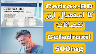 Cedrox BD 500mg Uses  Cedrox BD Tablet Side Effects  Cefadroxil 500mg Uses in UrduHindi [upl. by Kumar]