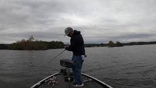 Live Lake Guntersville Bass fishing [upl. by Lishe689]