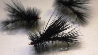 How to tie a Black Stimulator  Adult Stonefly [upl. by Gnas]