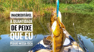 INACREDITÁVEL A QUANTIDADE DE PEIXE [upl. by Mady]